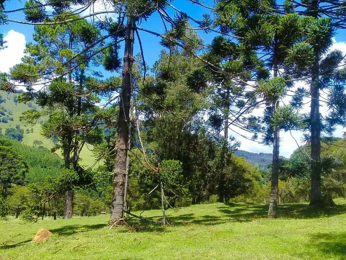 Sitio Refugio Das Araucarias Goncalves Bagian luar foto