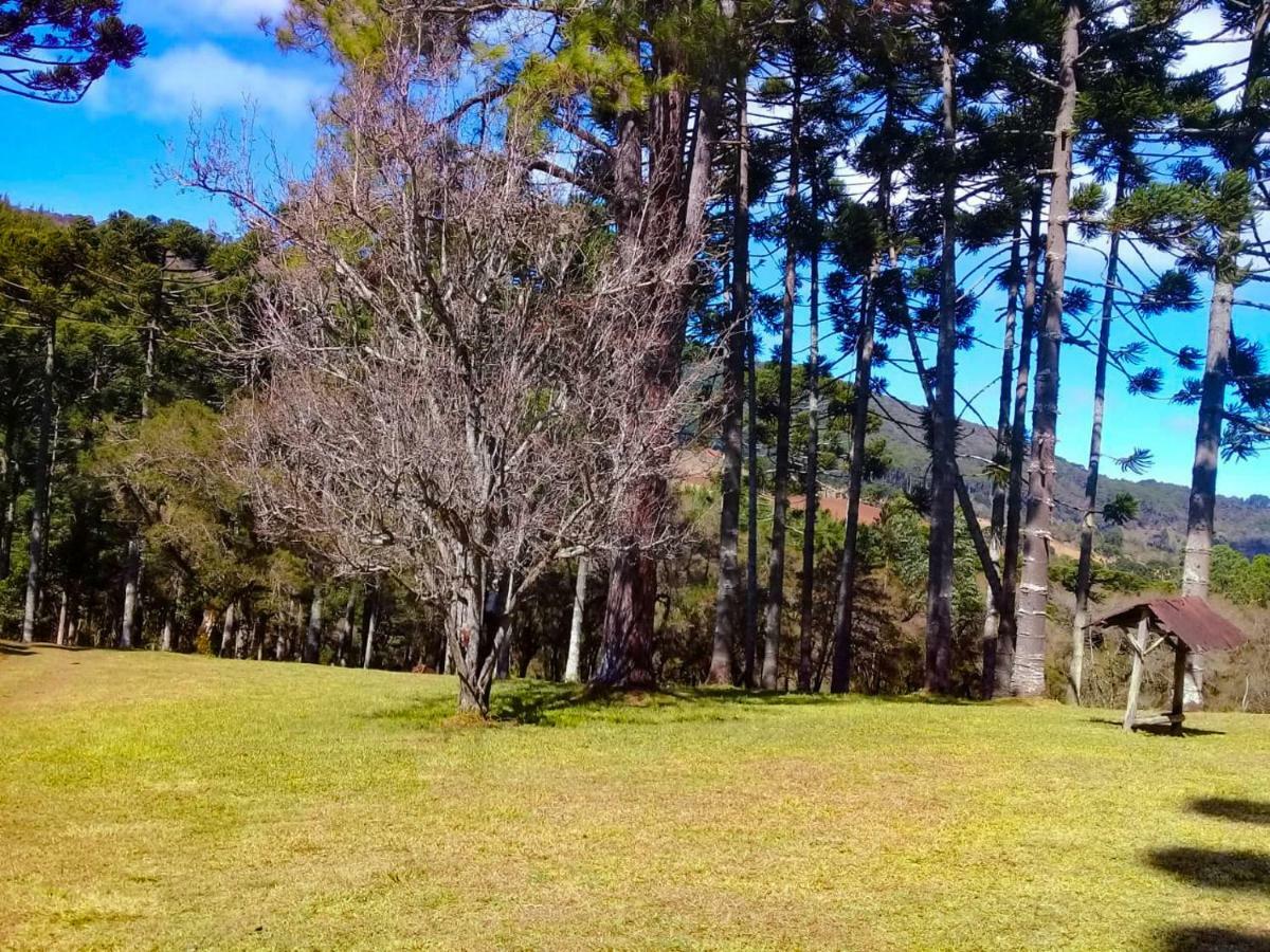 Sitio Refugio Das Araucarias Goncalves Bagian luar foto