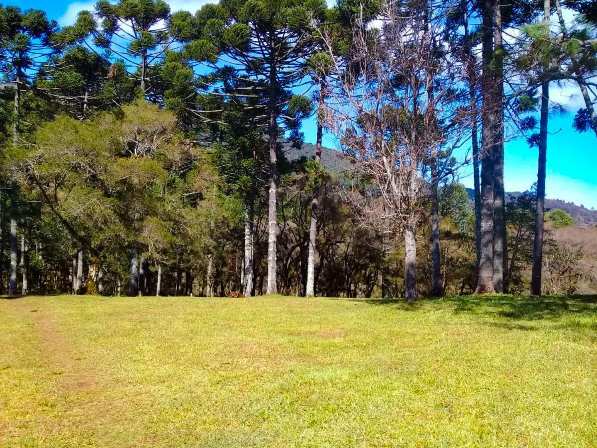 Sitio Refugio Das Araucarias Goncalves Bagian luar foto