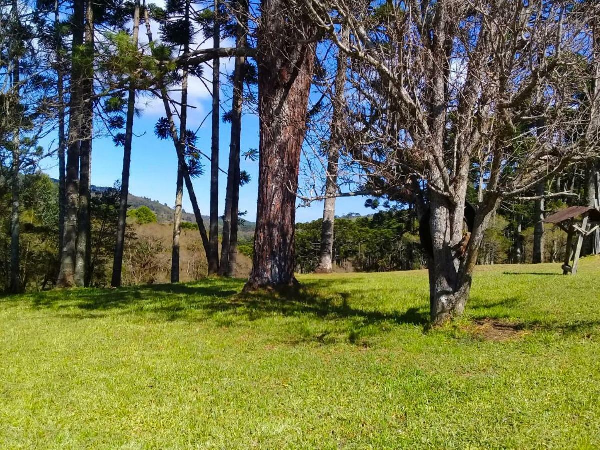 Sitio Refugio Das Araucarias Goncalves Bagian luar foto