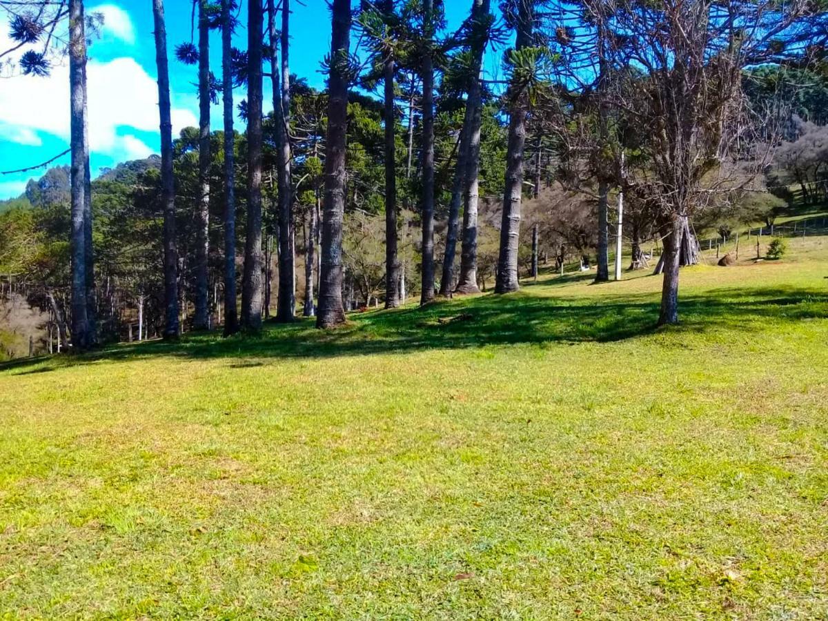 Sitio Refugio Das Araucarias Goncalves Bagian luar foto