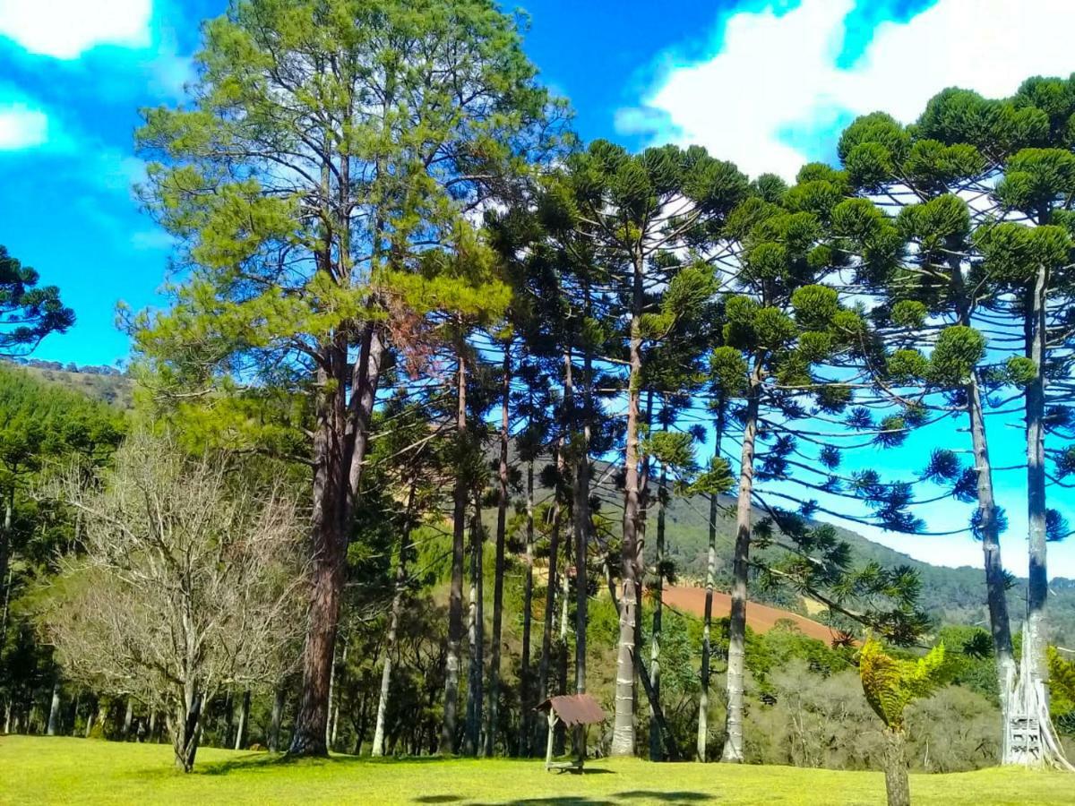 Sitio Refugio Das Araucarias Goncalves Bagian luar foto